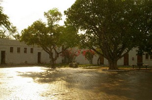 729 Namibia Okt 2006 .JPG